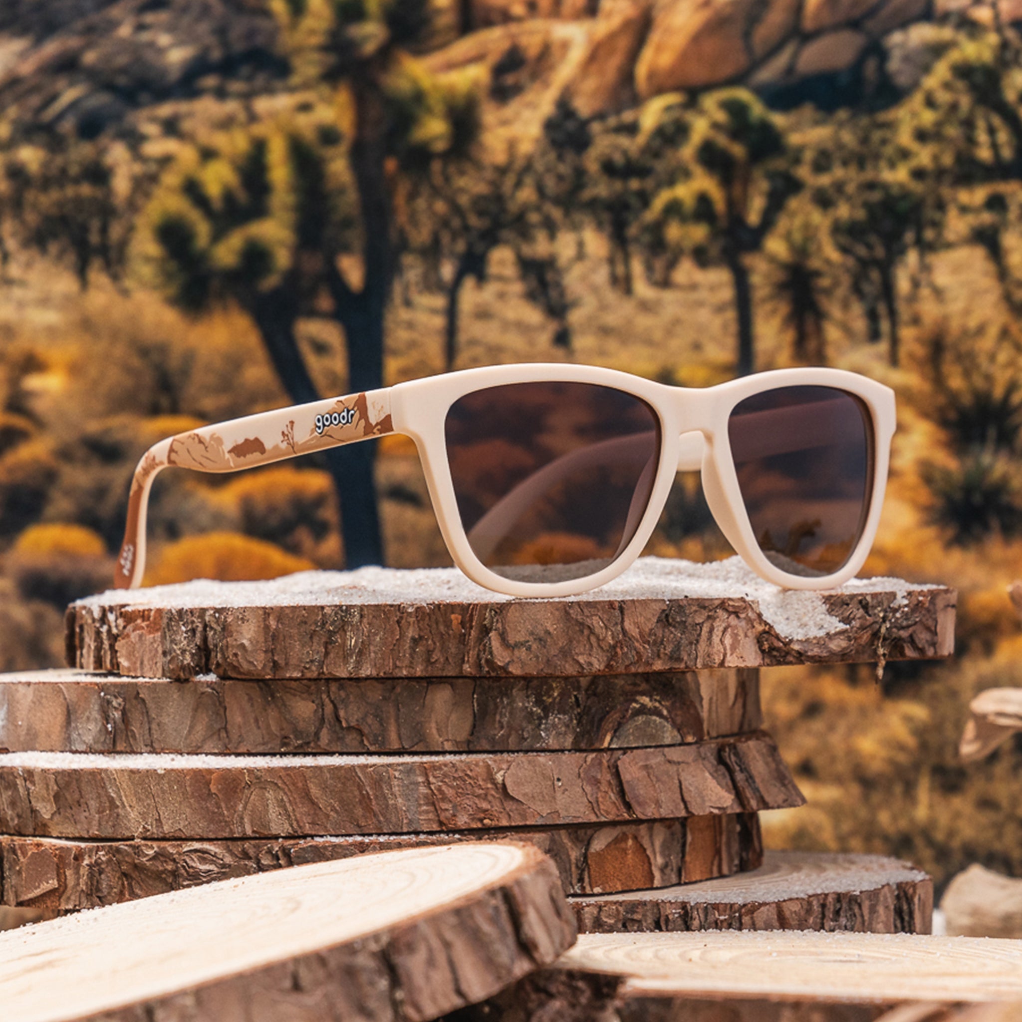 Joshua Tree National Park 2024 - Image 2
